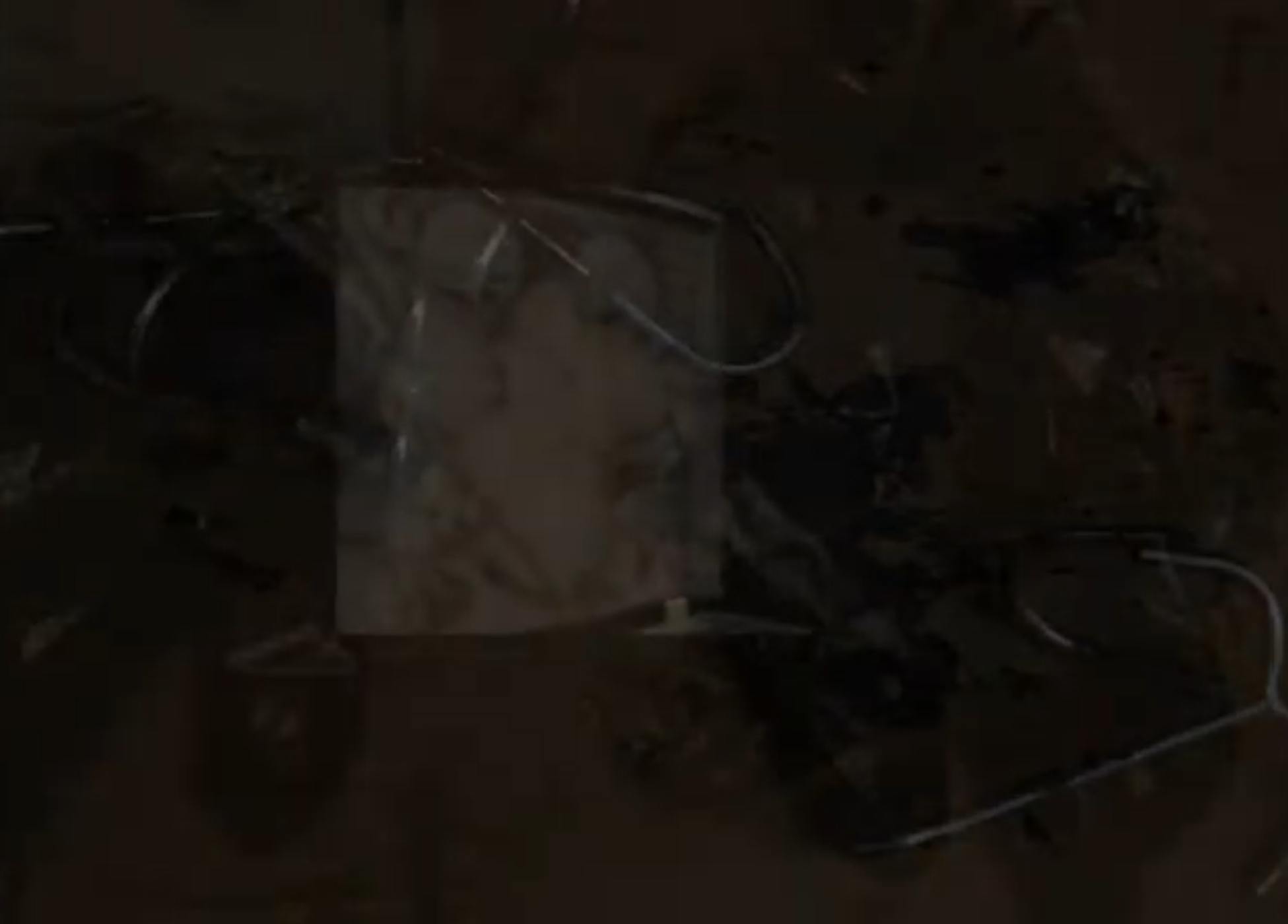 Video sul Kruger National Park